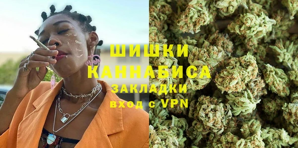 spice Каменка