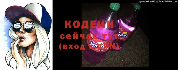spice Каменка