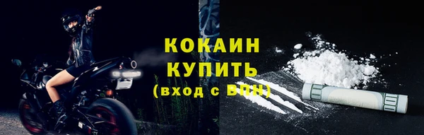 spice Каменка