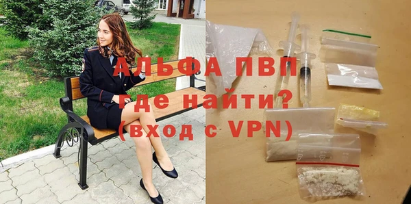 spice Каменка