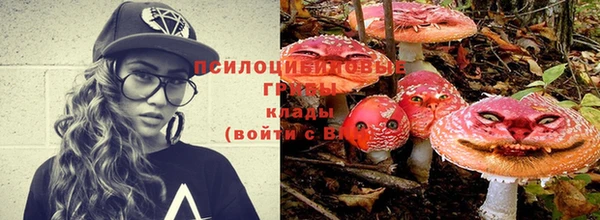 spice Каменка