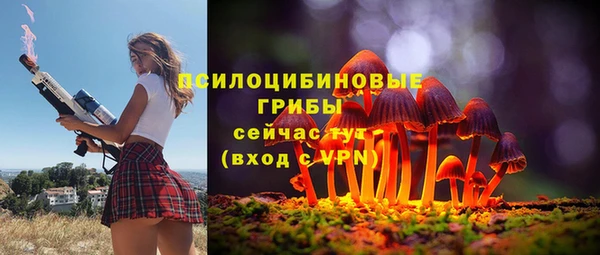 spice Каменка