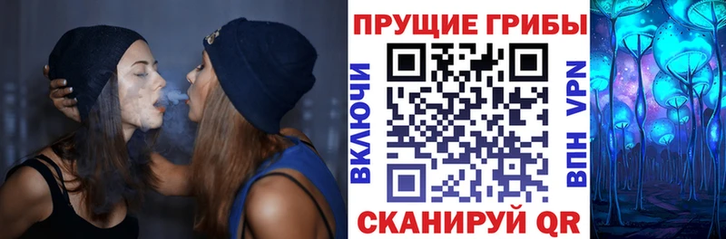 Купить закладки  Слюдянка  Псилоцибиновые грибы Psilocybe 